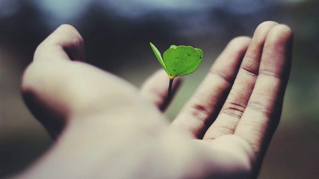 vedic astrology indonesia growth hacking